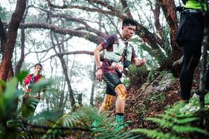 BIB: 
                            <button type="button" onclick="openModal(26295497)" class="btn btn-primary btn-sm float-right btn-popup" data-toggle="modal" data-target=".modal-high-quality">
                        <i class="fas fa-shopping-cart"></i> Add to Cart
                    </button>
                                            <button type="button" onclick="isThisMe(26295497, true)" class="btn btn-success btn-sm float-right btn-popup btn-isme hidden" data-toggle="tooltip" data-placement="bottom" title="นี่คือรูปของคุณใช่ไหม คลิกที่นี่เพื่อเอาเข้าอัลบั้ม">
                        <i class="fas fa-plus"></i> Add to album
                    </button>
                    <button type="button" onclick="isThisMe(26295497, false)" class="btn btn-warning btn-sm float-right btn-popup btn-isnotme hidden">
                        <i class="fas fa-ban"></i> Remove from album
                    </button>